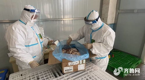80秒速覽 濟寧設集中監管專倉筑牢防線，防打鼾用品避雷指南